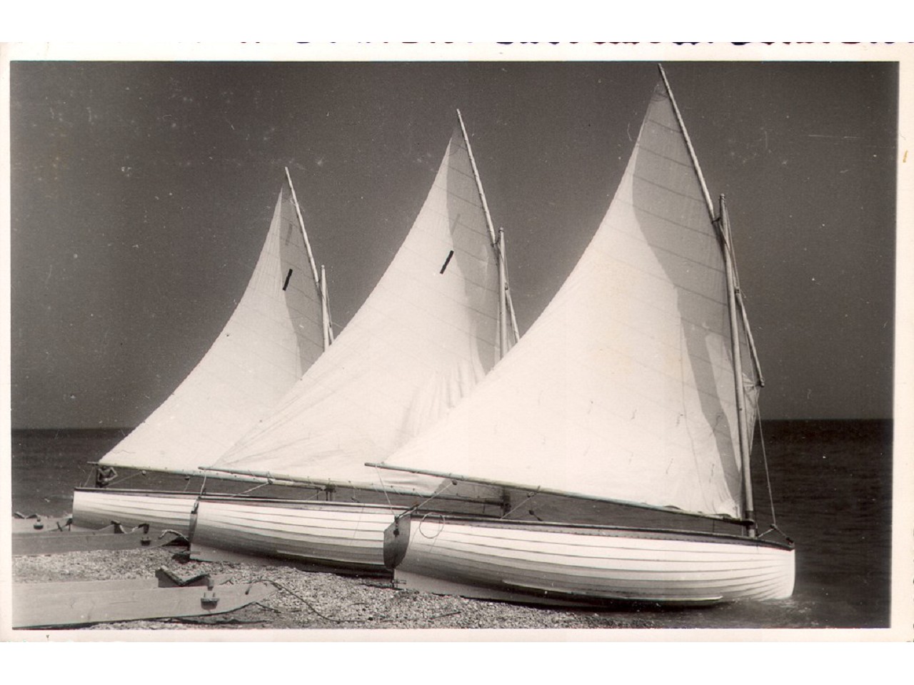 Il primo gruppo Dinghy della LNI di Porto san Giorgio.
